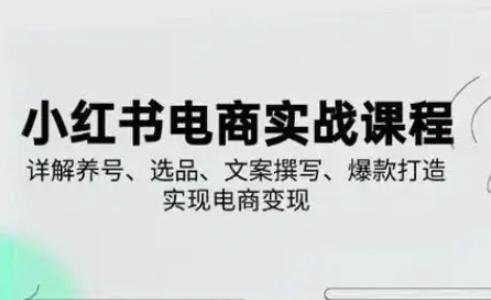 小红书从0-1实操课(2023-2025),详解养号、选品、文案撰写、爆款打造实现电商变现-鑫梵淘轻创网