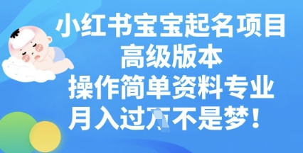 小红书宝宝起名项目高级版本,操作简单,资料专业,月入过W-鑫梵淘轻创网