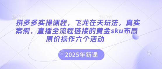 拼多多实操课程,飞龙在天玩法,真实案例,直播全流程链接的黄金sku布局原价操作六个活动-鑫梵淘轻创网