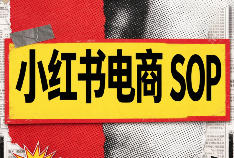 书豪必胜小红书电商sop(更新9月)-鑫梵淘轻创网