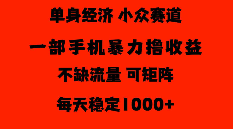 26年暴力单身经济，稳定日入500-1k，不缺流量，流量极大，冷门小众赛道，门槛低小白轻松上手【揭秘】-鑫梵淘轻创网
