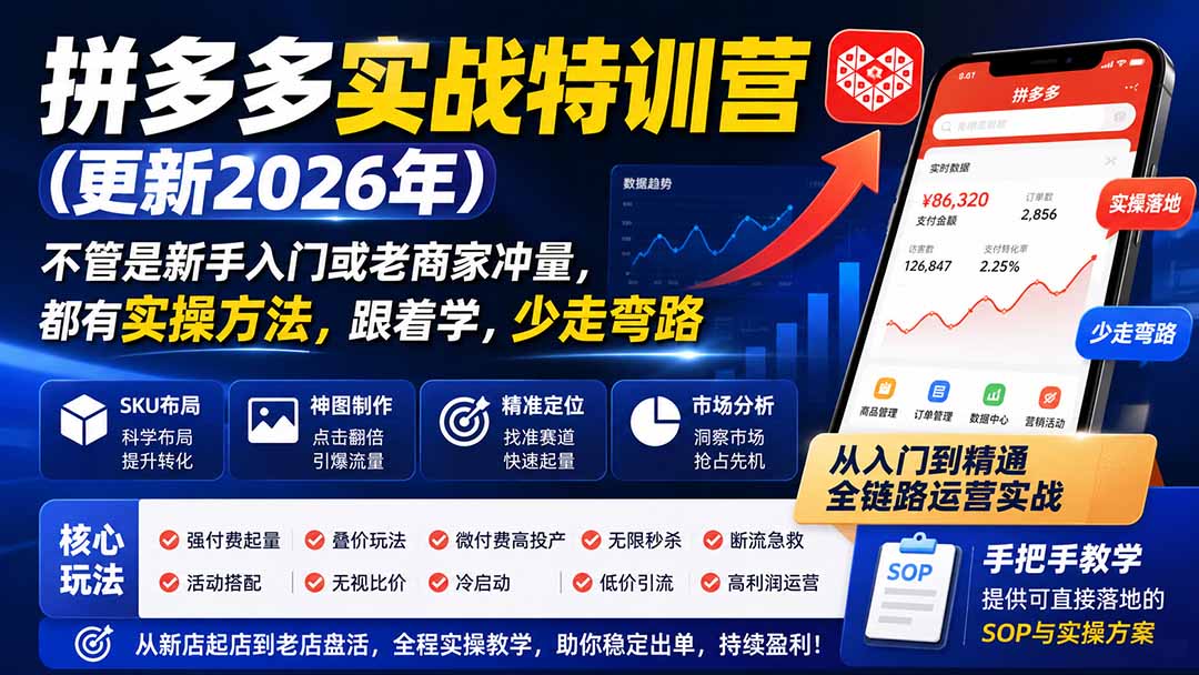 拼多多实战特训营(更新1017-鑫梵淘轻创网