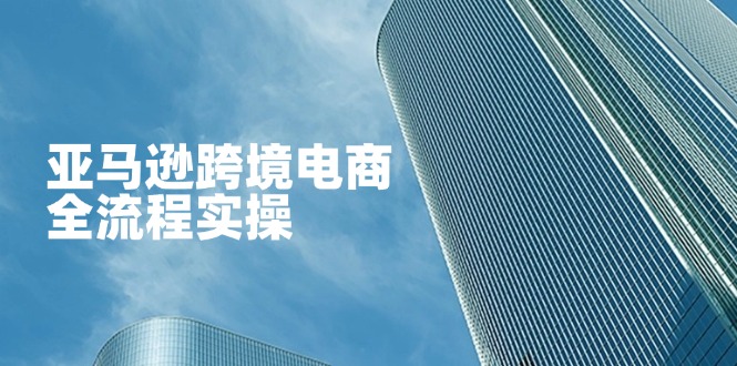 （14252期）亚马逊跨境电商全流程实操，教你从零开始，掌握店铺运营与广告技巧-鑫梵淘轻创网