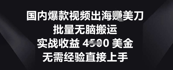 国内爆款视频出海挣美刀,批量无脑搬运,实战收益4.5k,无需经验直接上手-鑫梵淘轻创网