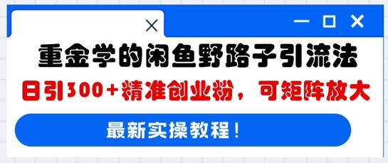 重金学的闲鱼野路子引流法，日引300+精准创业粉，可矩阵放大-鑫梵淘轻创网