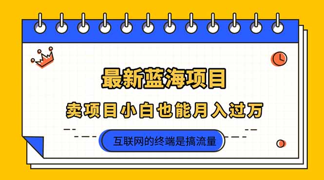 （14289期）2025年最新蓝海项目，卖项目小白也能月入过万-鑫梵淘轻创网