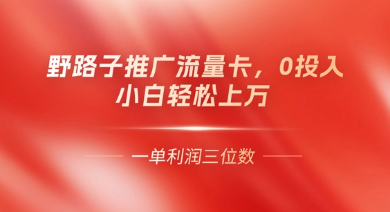 0门槛推广流量卡,一单收益上百,0投入,小白月入过W-鑫梵淘轻创网