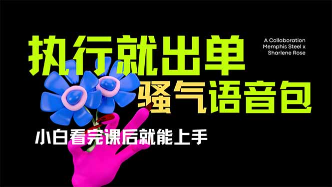 （14170期）爆火全网的开车导航骚气语音包,只要执行就出单，小白看完课程就能实操...-鑫梵淘轻创网