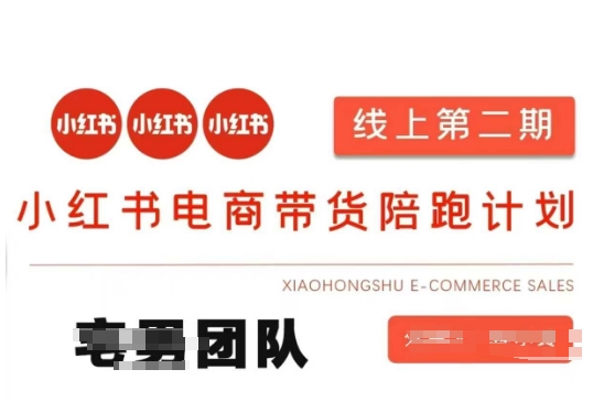 小红书电商带货课2期,月利润20个的小红书电商的有货源,无货源,虚拟产品,付费投流等整套玩法-鑫梵淘轻创网