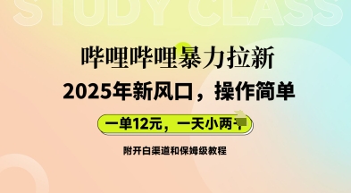 哔哩哔哩暴力拉新：2025年新风口，一单12元，一天数张(附开白渠道和保姆级教程)-鑫梵淘轻创网